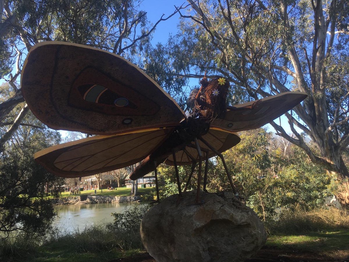 Broomey2's tweet photo. Glorious #riverramble together🥾🌏#thecrossingplacetrail #wodonga https://t.co/tat5sbQU1m