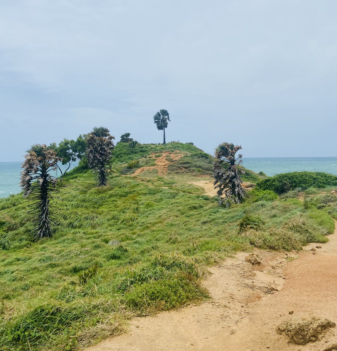 travelingman88's tweet photo. Just made the walk down to promthep cape, beautiful cool windy morning, and stunning views #promthepcape #phuket https://t.co/uSGoKTW6D5