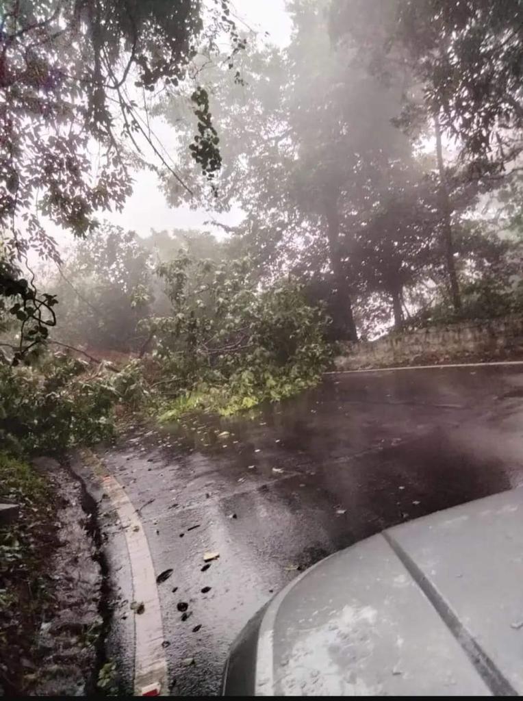 ಬುಡ ಕುಡಿದು ಬಾಯಿ ಬಡಿದುಕೊಳ್ಳುವುದು!!!

Nature always tries to keep everything in equilibrium ( A simple theory of physics ).. 
ಬುಡ ಕಡಿದ ಮೇಲೆ ಗುಡ್ಡ ಉರುಳದೇ? 

#Landslides
#AgumbeGhat #SaveWesternGhat 

ಇನ್ನೂ ಅಗಲಿಸುತ್ತಾರಂತೆ!!!
#Agumbe #NH169