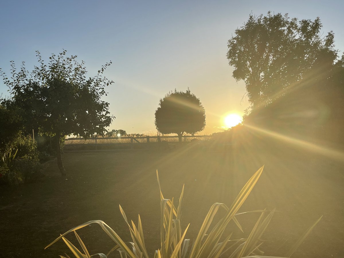 SteveApterQFSM's tweet photo. Starting at 05.30 @RydeGolfClubIOW has its advantages ⛳️🏌️‍♂️ https://t.co/yDw5ZyE1QC
