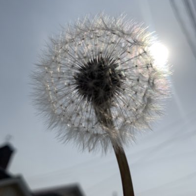 kittymao0805's tweet photo. #新しいプロフィール画像 https://t.co/SNNpyfQa9v