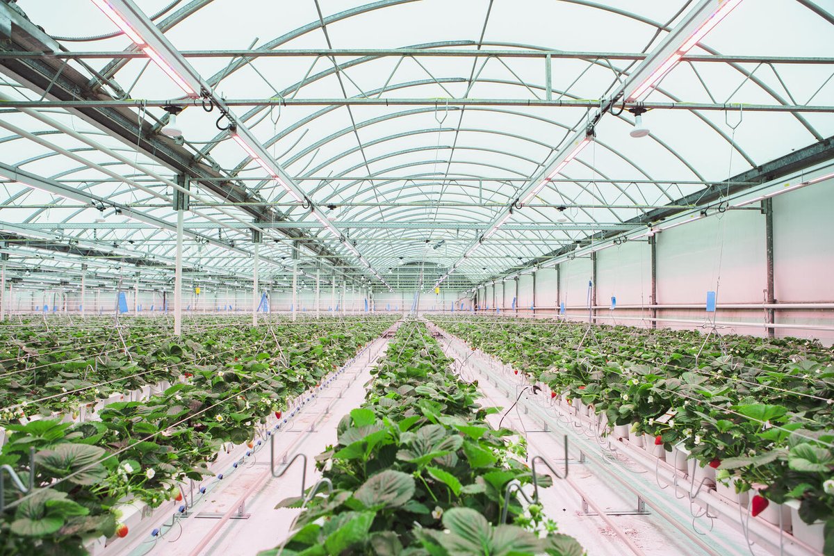 THC Cooling System (@ThcCooling) / Posts / X