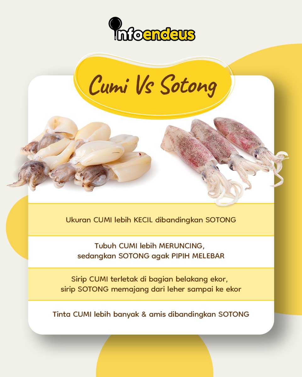 Suka kebalik mana cumi, mana sotong?? Ini dia nih bedanya!

#Endeus #InspirasiMasakTiapHari #LoveHomeFood #AdaEndeus #MasakCepat #MasakSehat #MasakHemat #infoendeus #Tips #tipsmasak