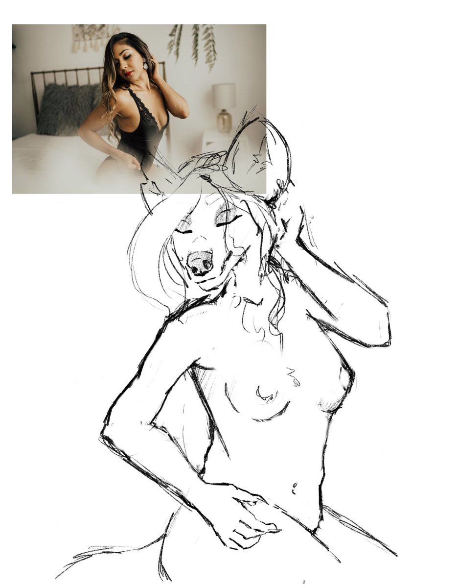 DejaDecayed's tweet image. References are your friend!!!! #furry #furryart #furryfandom