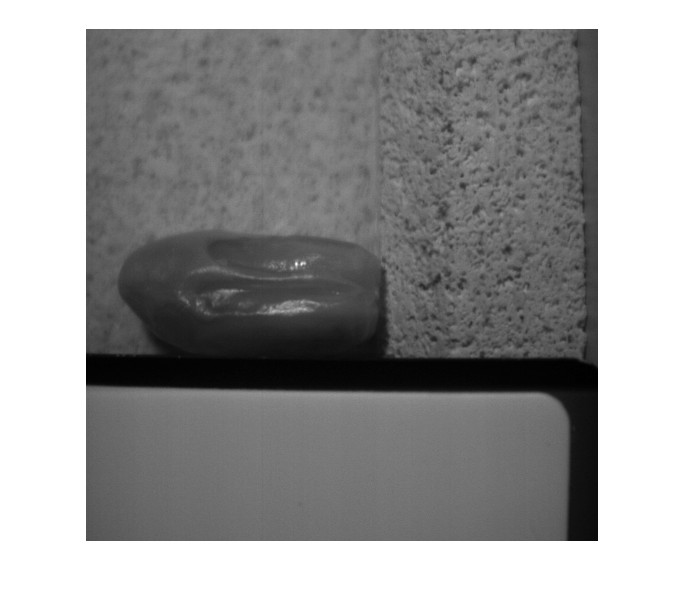 🍓¿Qué pensarías de poder realizar controles de calidad de tus productos frescos sin tener que destruir las muestras?🍏🍎

Con visión artificial📷 esto es posible.

En Oslice trabajamos para ofrecer controles de calidad con herramientas de VA e IA.

oslice.es