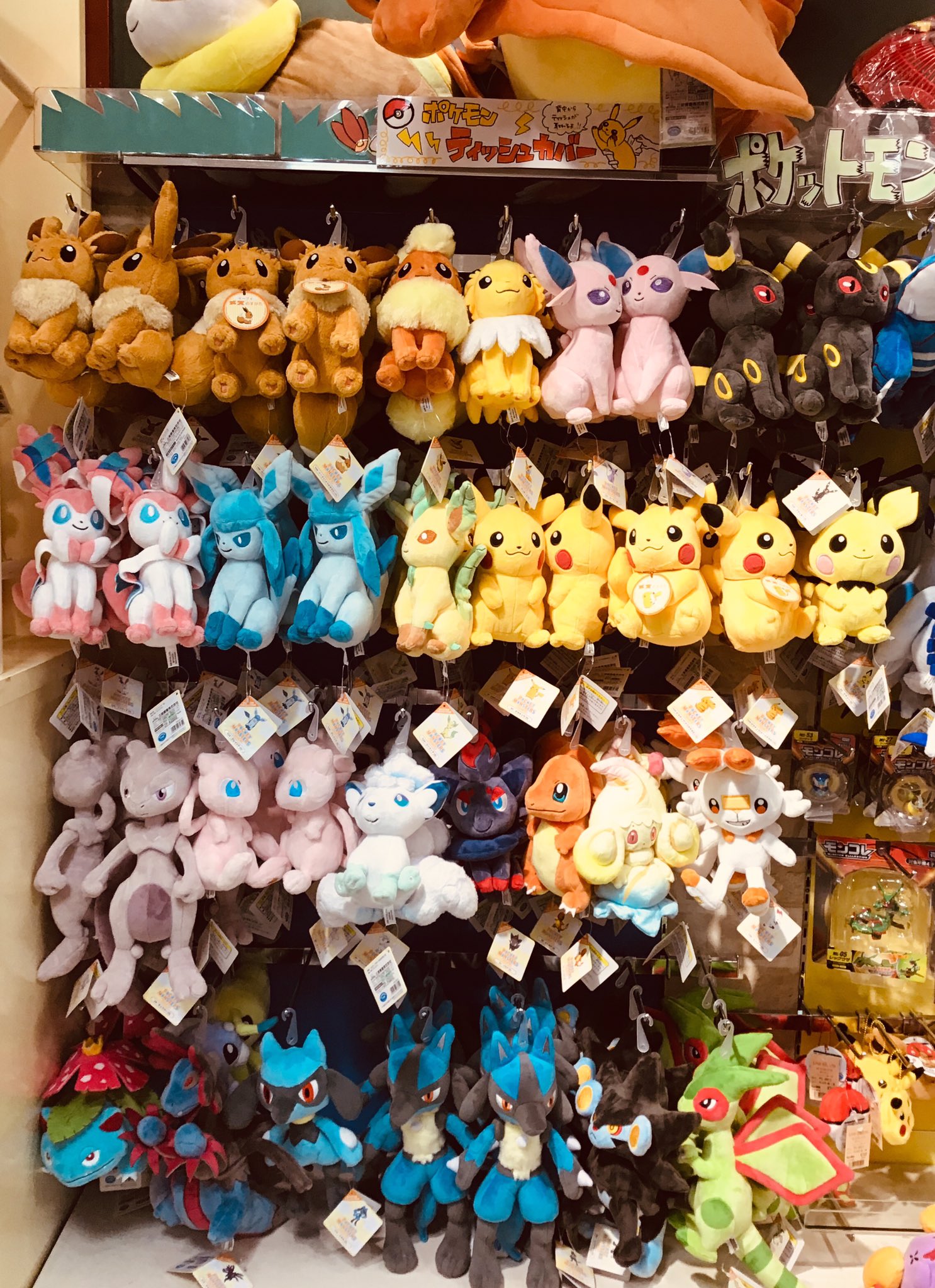 ポケモンぬいぐるみ(7個セット) 51UkPfFm2pL._UF350,350_QL50_.jpg
