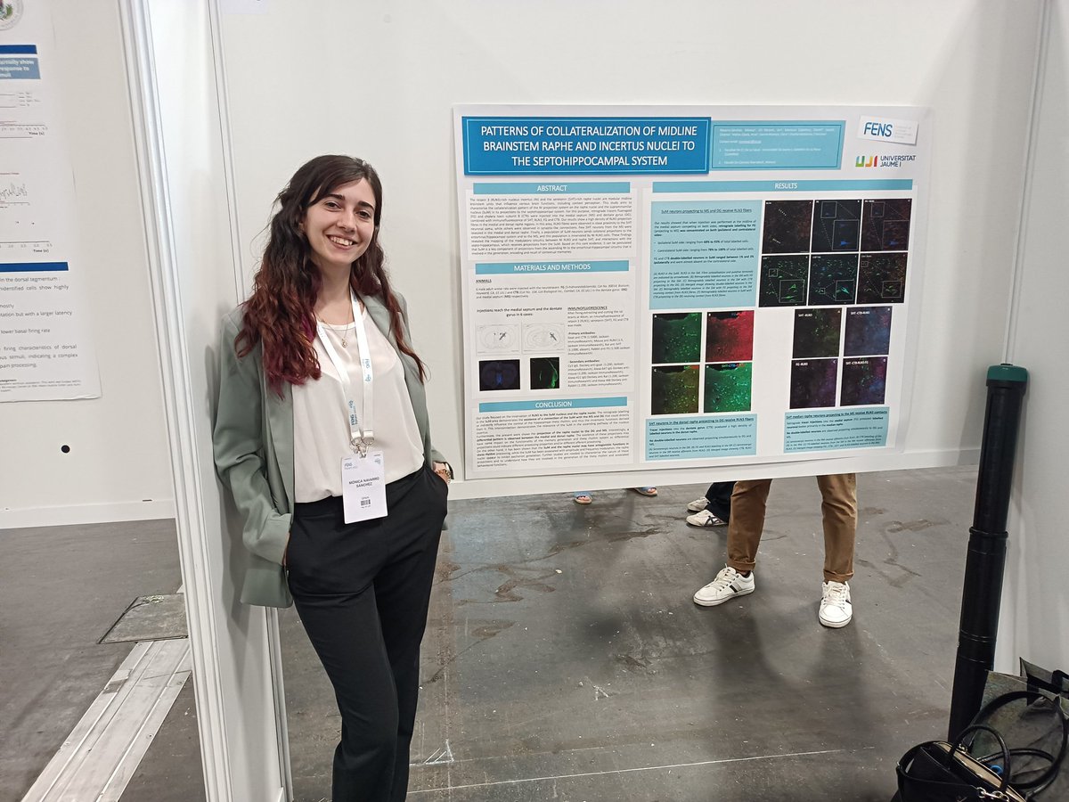 paco olucha tweet media