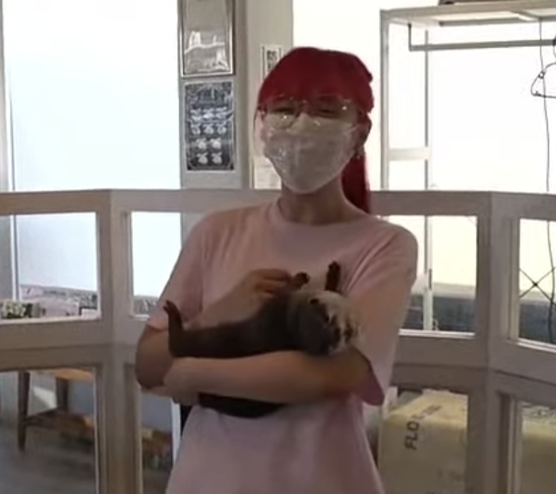 sheselle_'s tweet photo. @LilyPichu &amp; @DisguisedToast holding otters is the most adorable thing ever t_t https://t.co/XBKmbjgODU