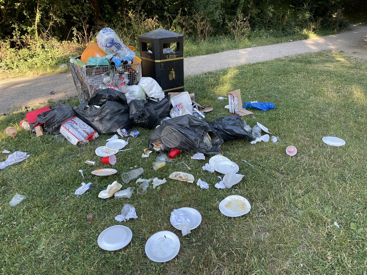 @foxesforest Monday morning after a weekend of BBQs then the animals come out and have their own! @portsmouthtoday  @portsmouthnews @visitportsmouth