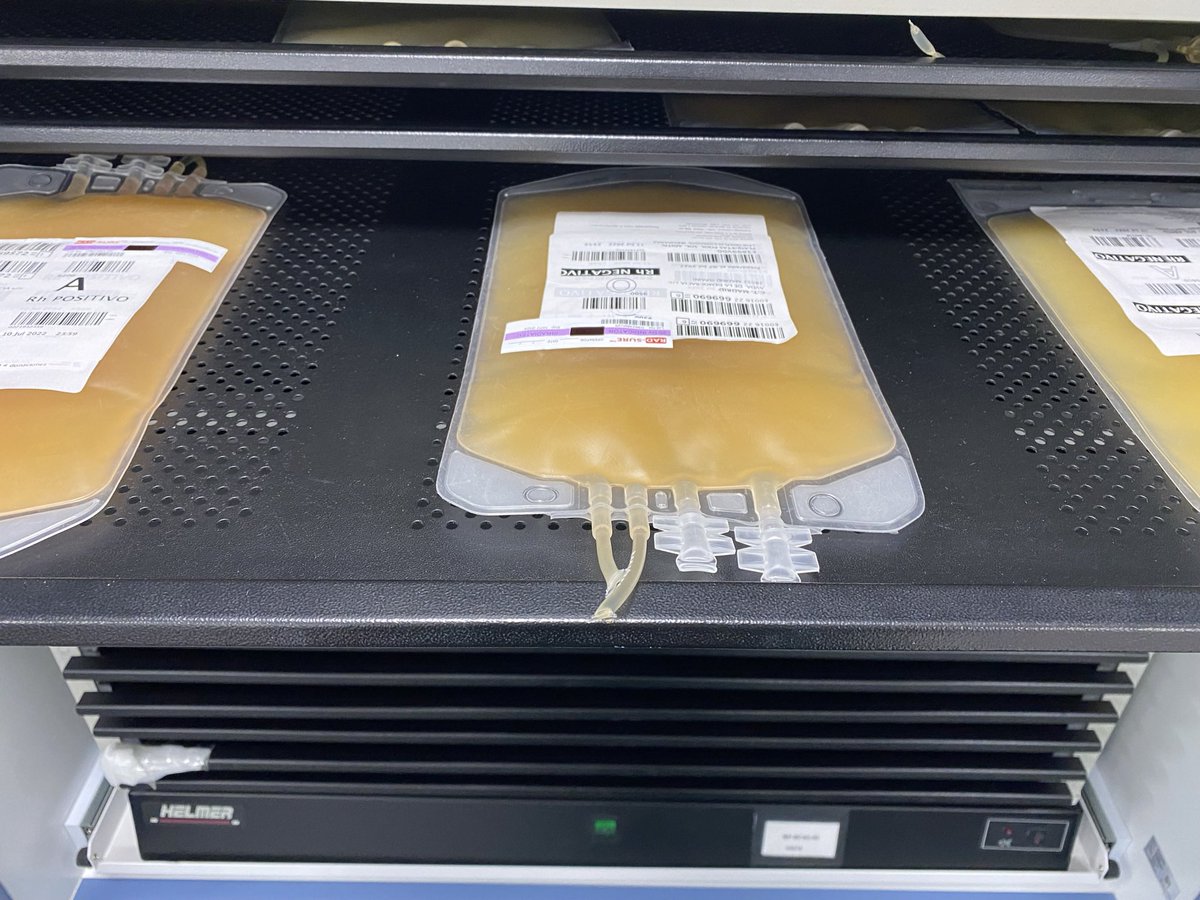 RamonyCajalDona's tweet photo. Buenos días #Madrid,
#Aferesis es un tipo de donación que permite donar selectivamente una parte de los componentes sanguíneos.
El cuerpo humano posee entre 150.000 y 400.000 plaquetas por mm3 de sangre. 
DONA 🧡🧡🧡: 91-336-8869
@Madridonasangre @MissCossas https://t.co/myxIPmUZNd