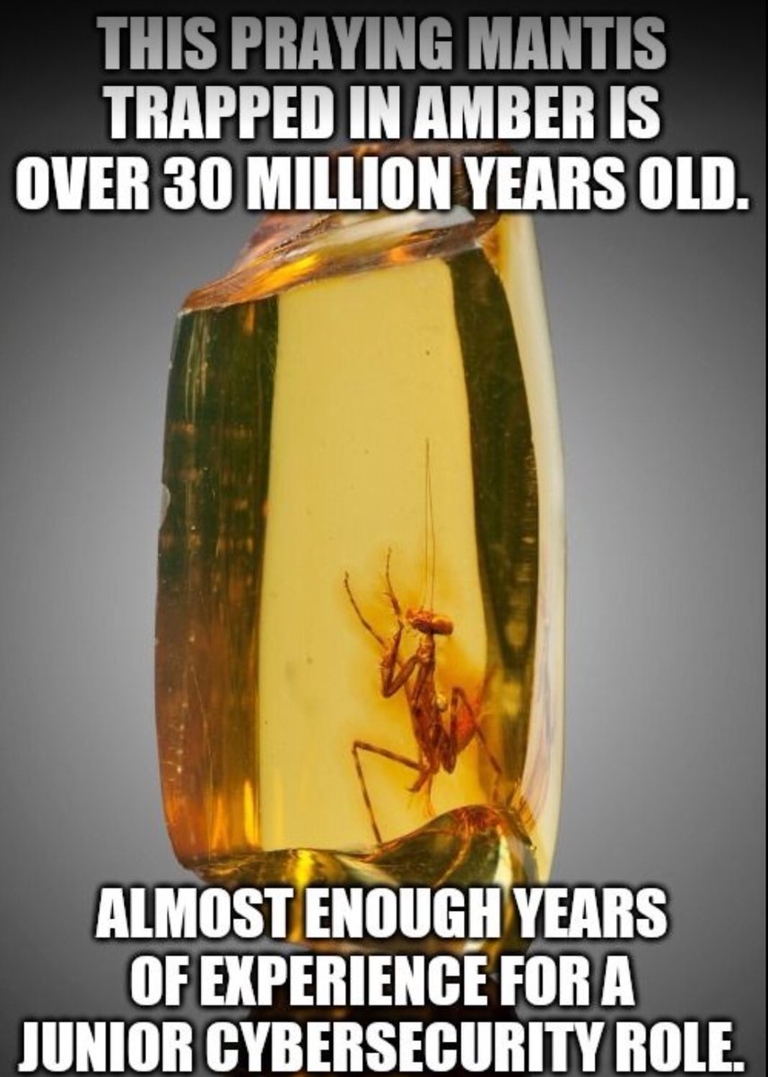 hackinarticles's tweet image. Pic of the Day

#infosec #cybersecurity #cybersecuritytips  #pentesting #oscp #redteam  #informationsecurity  #cissp #CyberSec