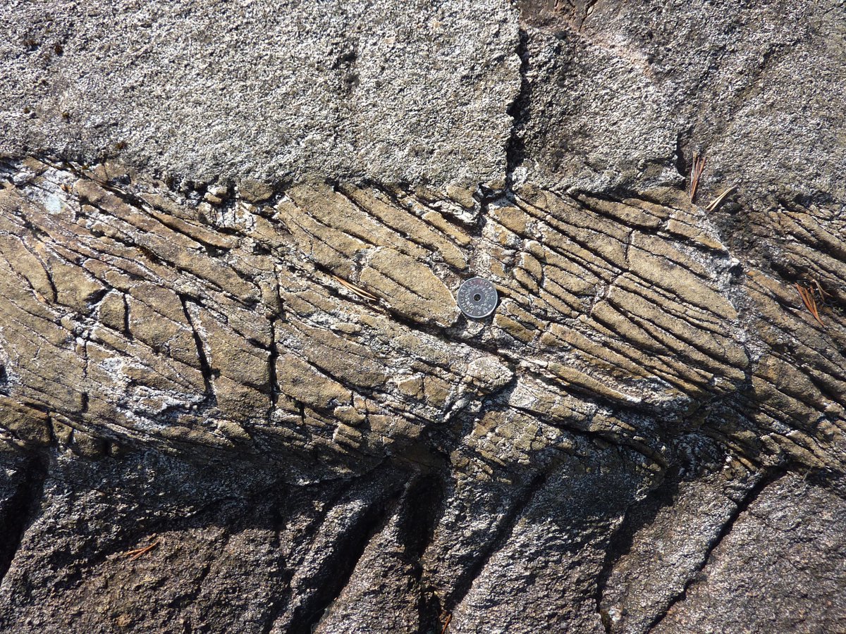 1st webinar starts Sept 6th 2022 at 16:00 CET. 

Thomas Ferrand (FU Berlin): Serpentine, serpentinized faults and related seismicity: a transdisciplinary journey

Nicholas Tosca (Uni of Oxford): In-situ evidence for serpentinization of the Maaz Formation, Jezero Crater, Mars