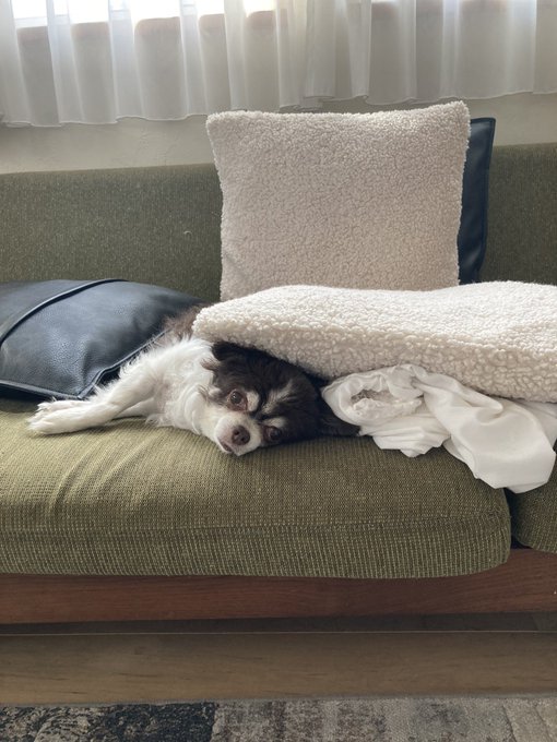 Twitterのコスプレ画像14