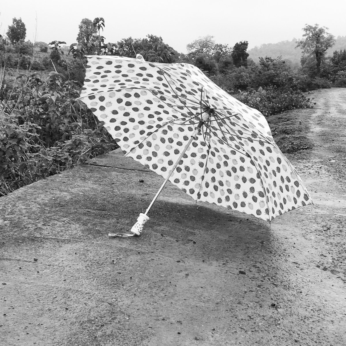 Mя᭄𝖗𝖔𝖈𝖐𝖘𝖙𝖆𝖗S@NU࿐ (@sonusingh1366) on Twitter photo 