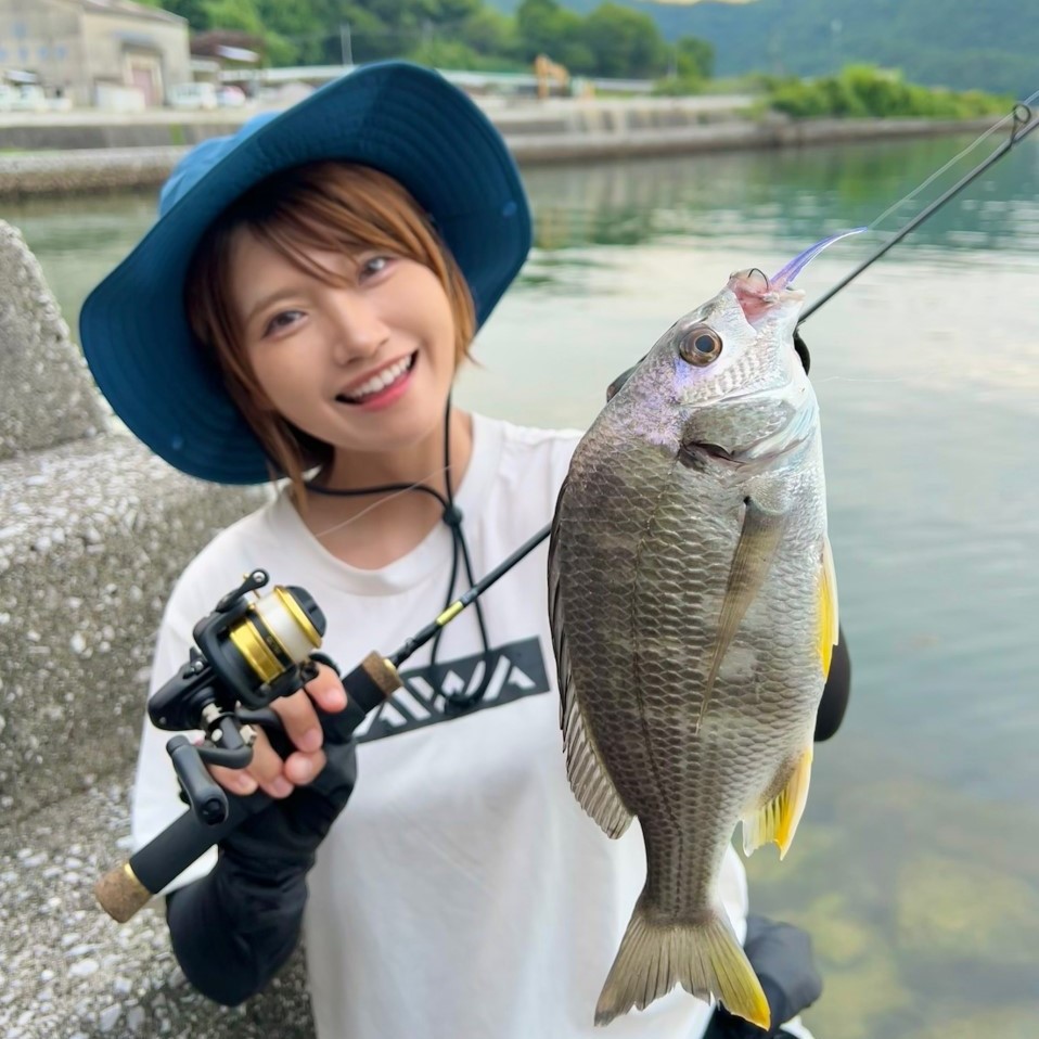 Daiwa Sw Fishing Shore D Sw Shore Twitter