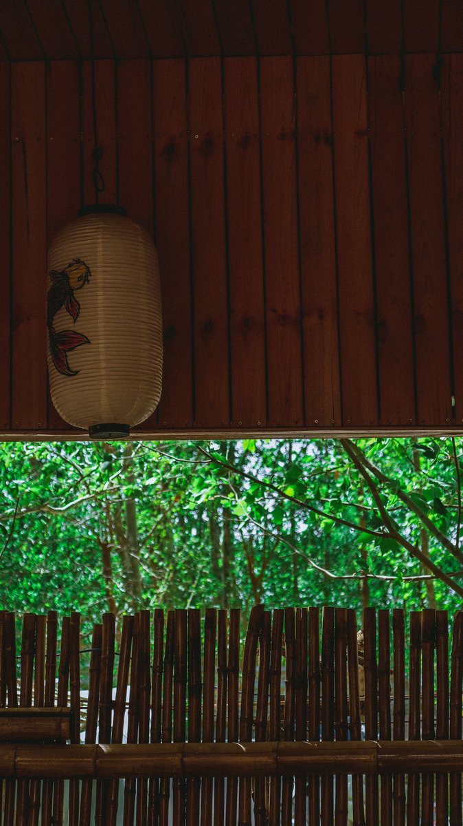 周杰伦-七里香🌞