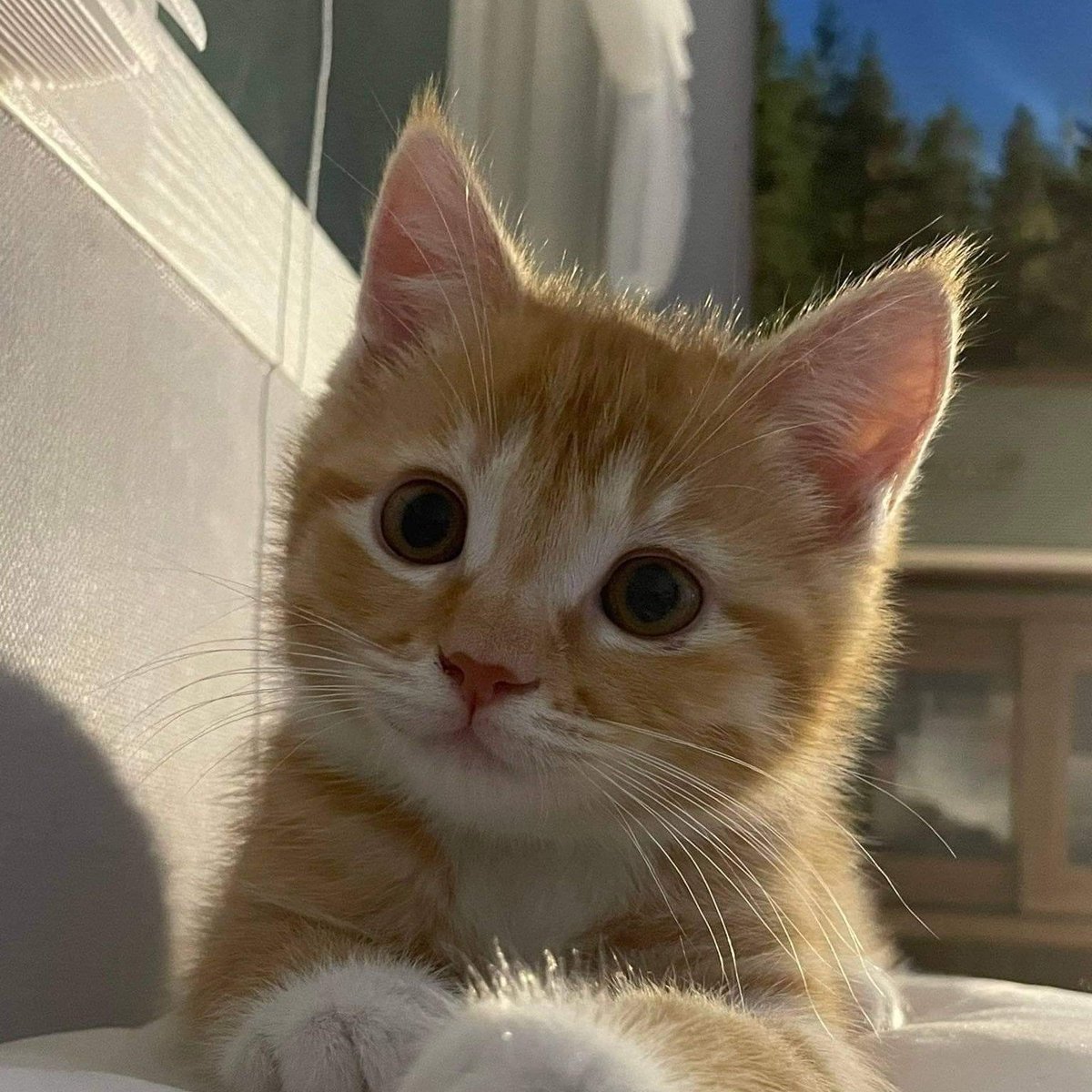 #NewProfilePic