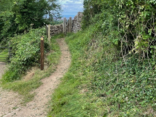 CotswoldWay's tweet image. The @CotswoldsAONB Voluntary Wardens have been busy on the Cotswold Way again this week. At Hanging Hill, Lansdown, six wardens cleared the path and repaired a safety rail in preparation for an upcoming guided walks.
