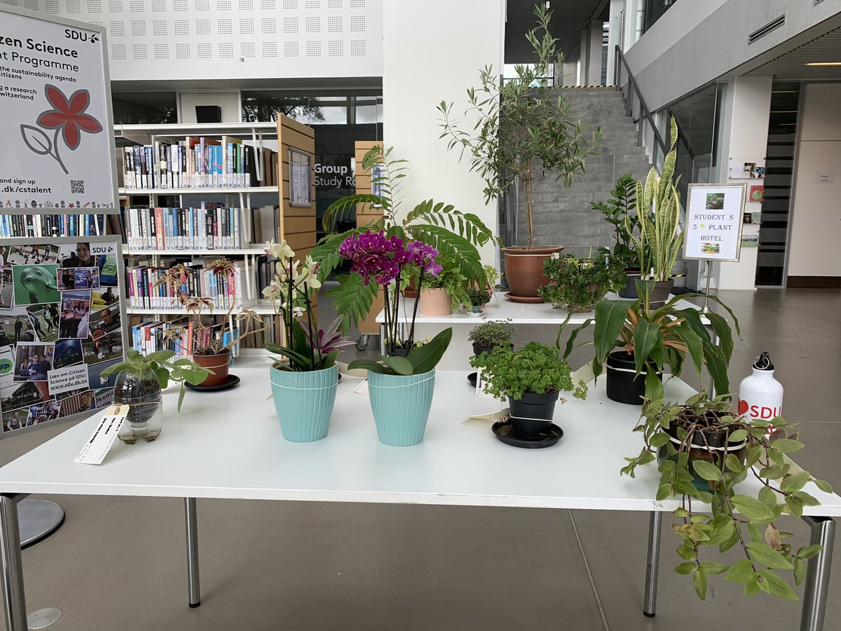 najmehshaghaei's tweet image. What a fantastic support by my colleagues at my library! They take care of students and staff’s plants and flowers during summer while they are on holiday. A 5 star hotel for plants! ❤️ @SDUlibrary  #greenlibrary #Sustainability