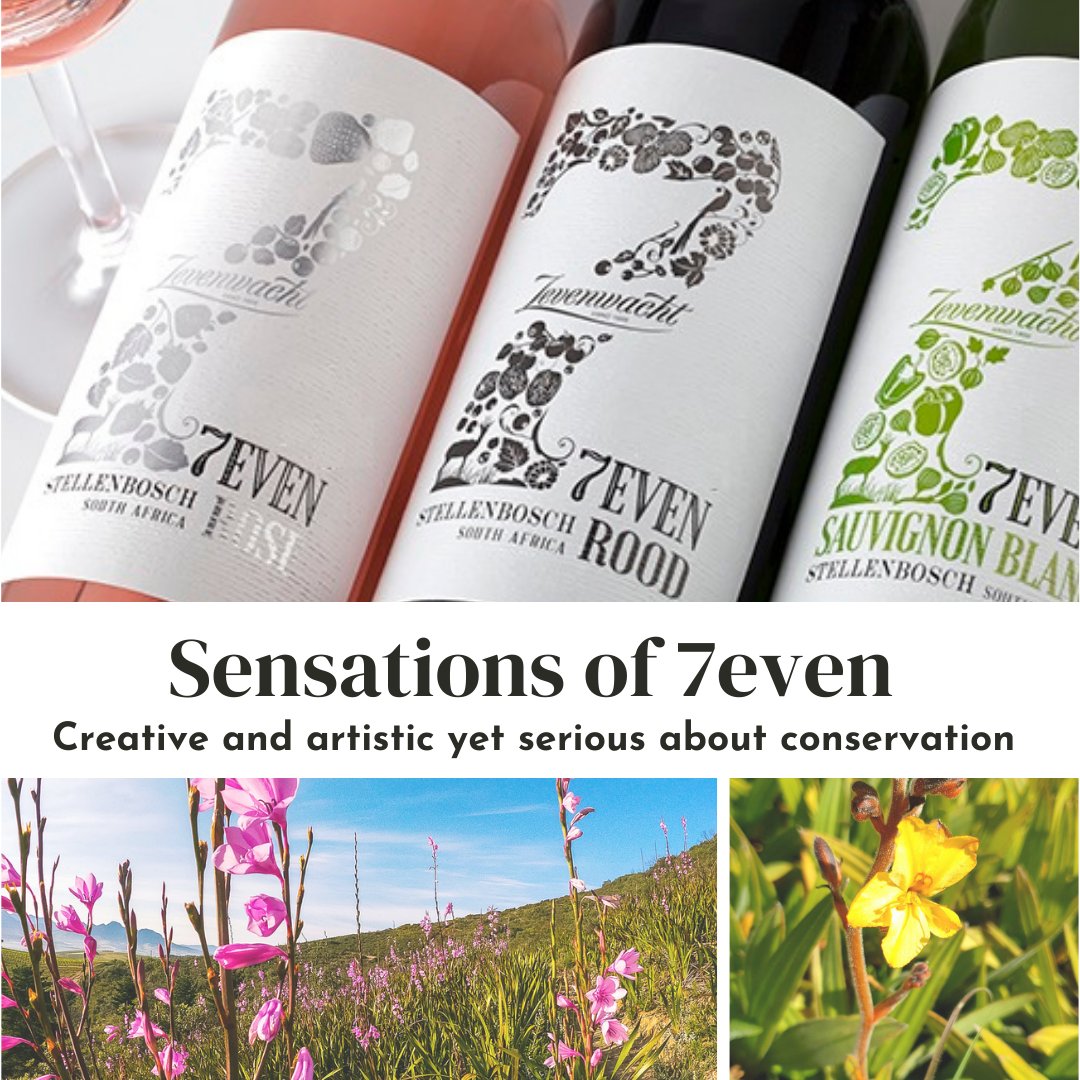 The alluring 7even label design is an artistic expression of the environment in which the grapes are grown & the characteristics to be discovered in the wine. It reflects our commitment to the preservation of the flora and fauna within our conservancy. #ExperienceZevenwacht