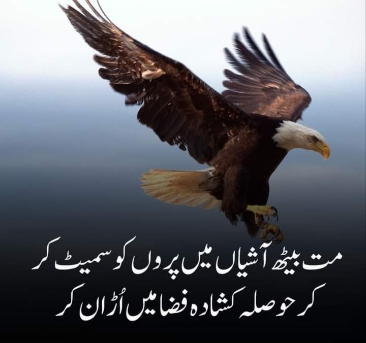 500Muhammad's tweet image. مت بیٹھ آشیاں میں پروں کو سمیٹ کر
کر حوصلہ کشادہ فضا میں اُڑان کر