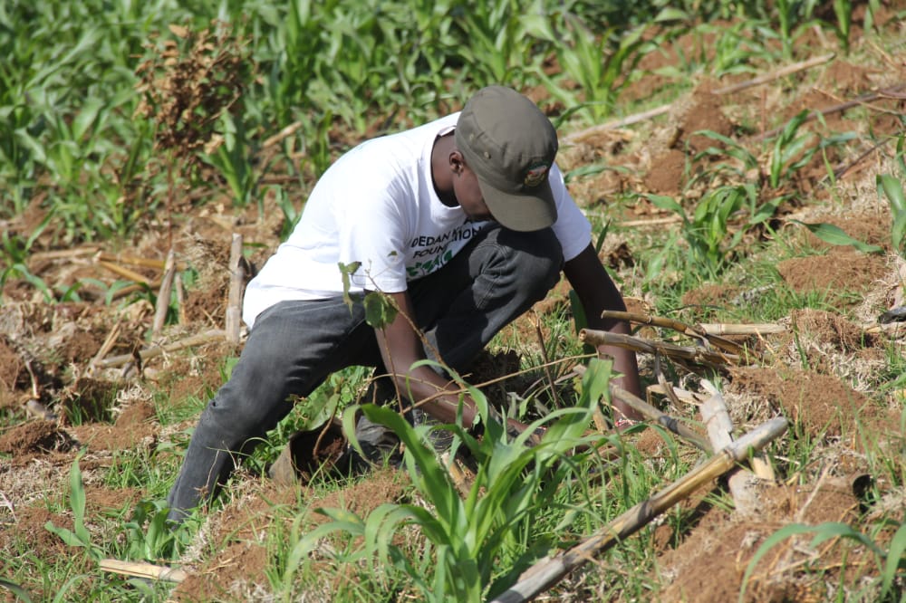 VObutich's tweet photo. “Blessed is he who plants trees under whose shade he will never sit.” Let the old men plant trees, though they may never expect to eat the fruit of them.
@Dedankm 
@evakimathi 
@KeForestService 
@kdfinfo 
@CCF_Kenya 
@KEFRIHQ 
#DKFNAKURU https://t.co/T7wkiAYVUu