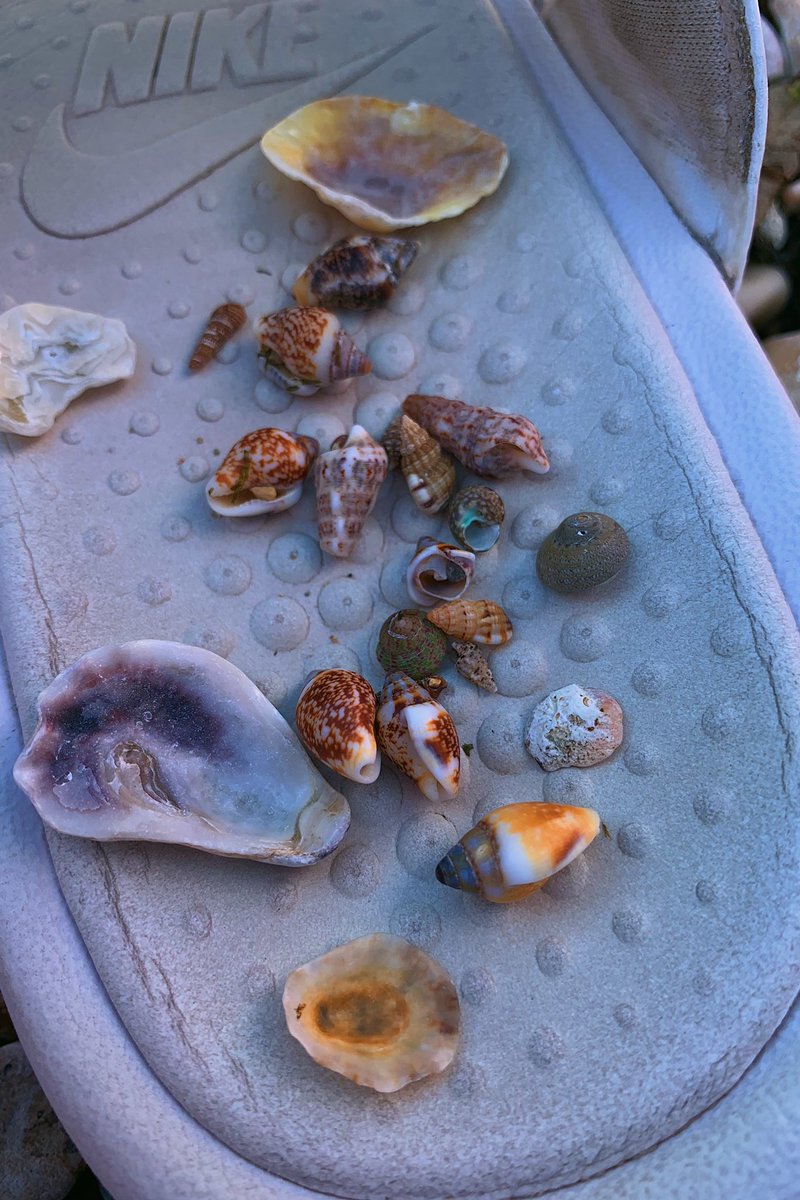 barbdapic's tweet photo. What I do when I go to the beach by myself 🐚🪨 https://t.co/lE8Jbljhpr