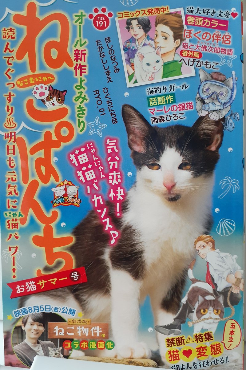 7月11日発売のねこぱんちお猫サマー号にて漫画24P載せて頂いてます。
夏らしいお話になりました! 