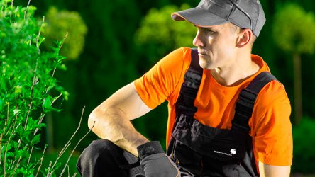Para poder disfrutar del jardín todo el año, Servalia pone a tu disposición un servicio integral de mantenimiento de jardines. Realizamos servicios de jardinería, limpieza y mantenimiento de zonas comunes. 🌳🌴🌻
#jardineria #jardines #serviciojardineria #mantenimientojardines