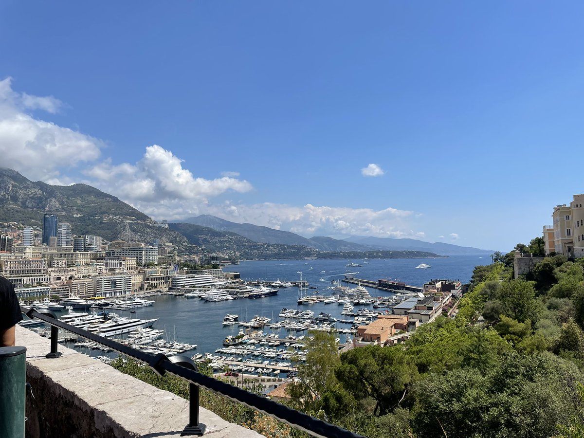 WARENE🌊 tweet media