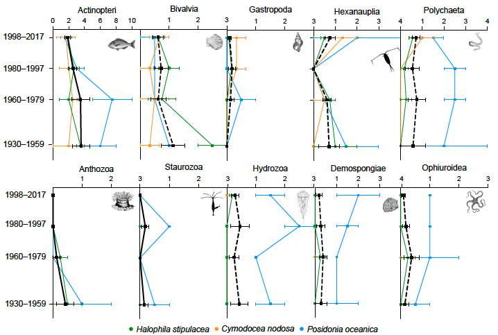 Marlene2019's tweet photo. 🚨New paper alert in @DiversityMdpi🚨
we used #environmentalDNA taken from dated sediment cores to investigate changes over time in metazoan communities of eastern Mediterranean seagrass meadows (Cymodocea nodosa, Posidonia and Halophila stipulacea)🐟🪸🌱
 https://t.co/k2jxZMTaQF https://t.co/oAay5ONSlQ