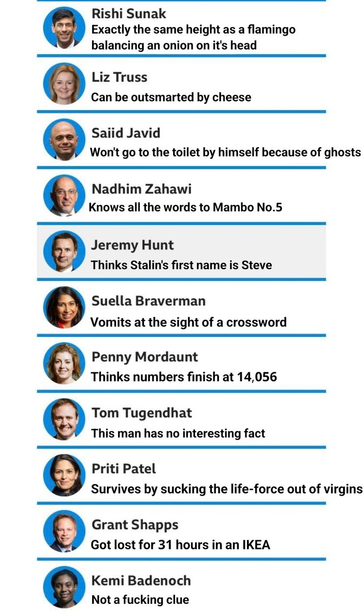 Here's some interesting facts about the Tory leader candidates