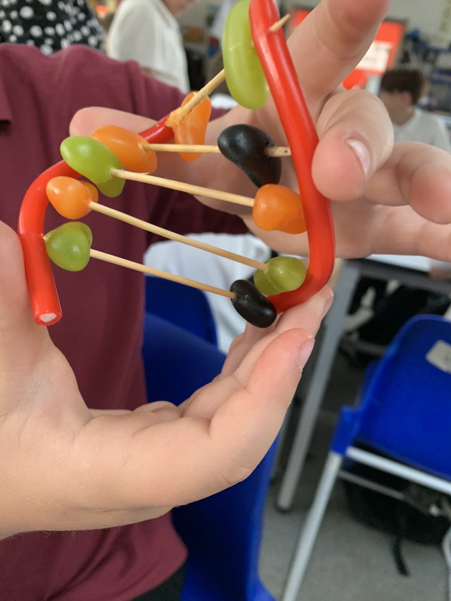 DrDawnAllenOVA's tweet photo. Year 6s rocking the DNA model making @VictoryAcad  year 6 transition @ScienceVictory https://t.co/lotQZXjgBG