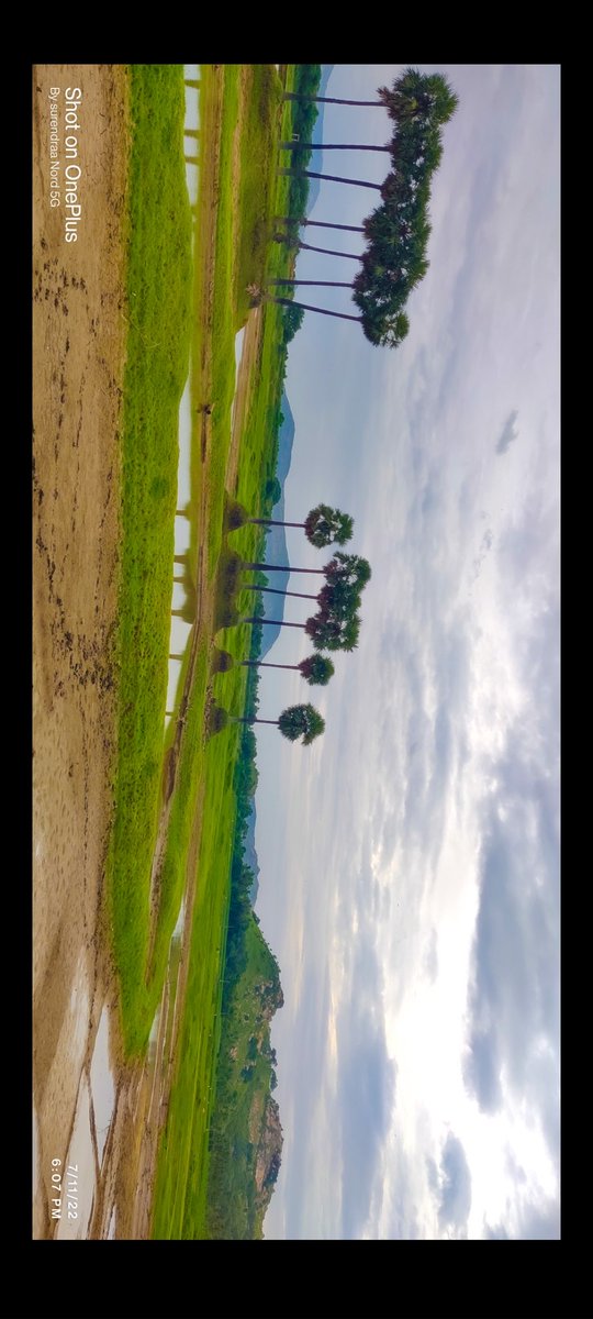 PATHAPALEM SURENDRA BABU tweet media