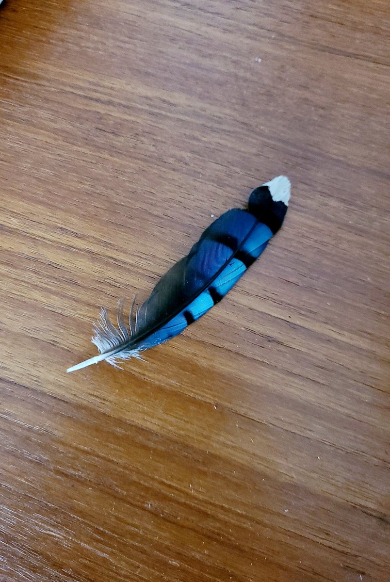 I believe that without memories there is no life, and that our memories should be of happy times. #cottagelife