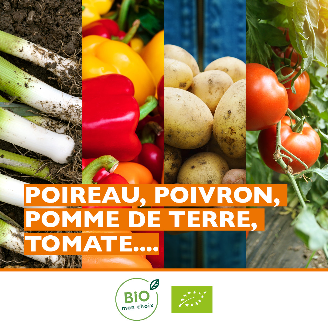 Biomonchoix's tweet photo. Chaque mois, nous vous proposons les fruits et légumes bio de saison. Voici ceux de juillet !
#biomonchoix #biologique #saison https://t.co/D33khDM6A7