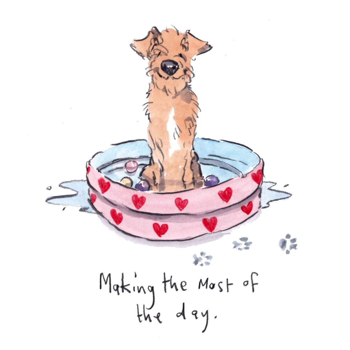 I am wishing you the very best for a super lovely day, lovely people and lovely dogs. 
#hoorayfordogs #irishterrier #paddlingpool #smile