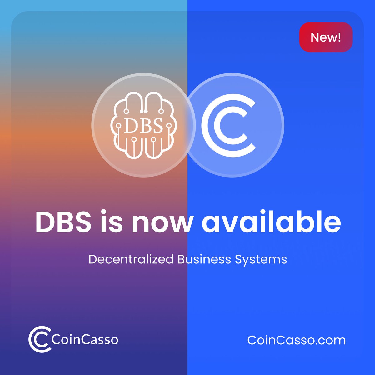 CoinCasso Exchange tweet media