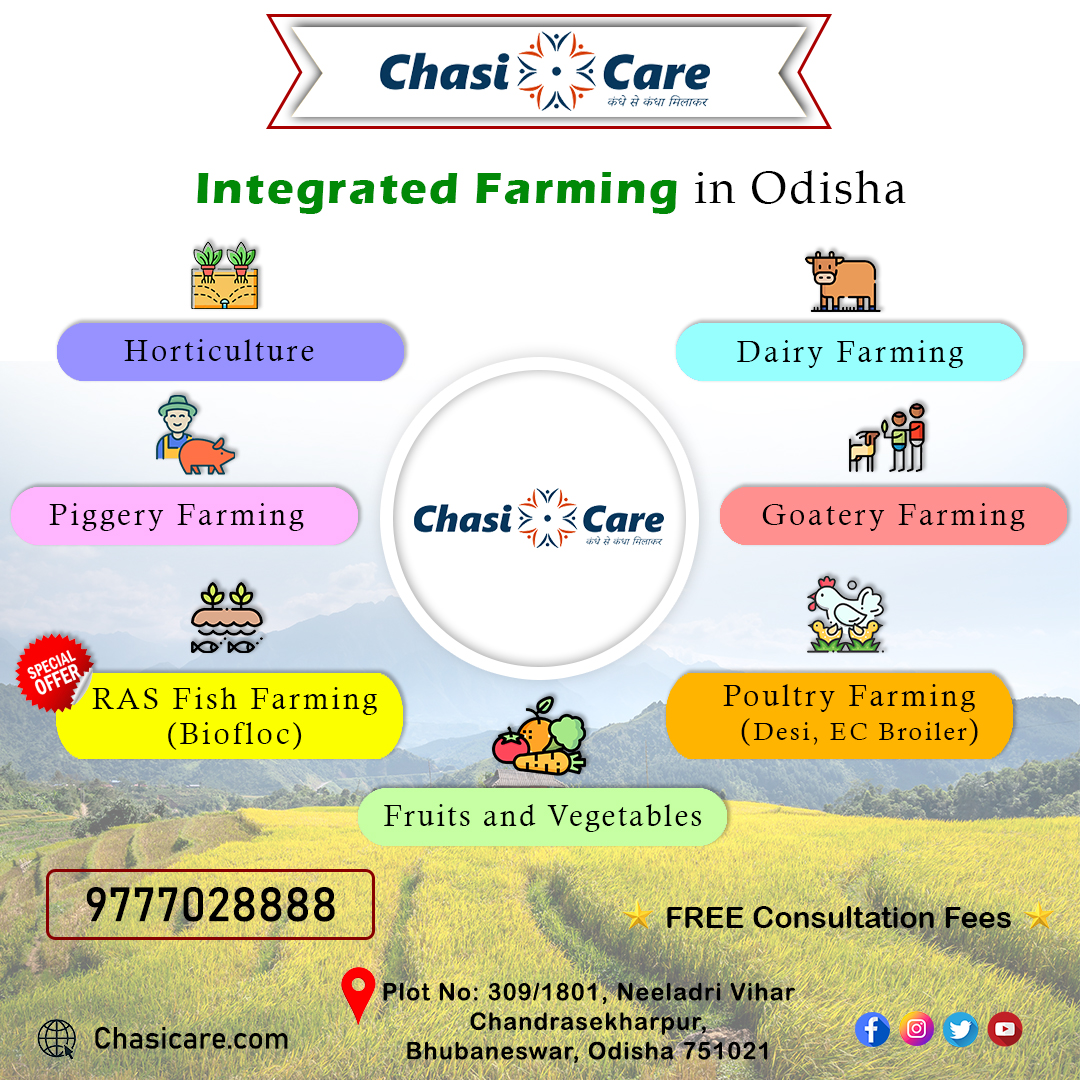 chasicare's tweet photo. #CHASICARE Brings Integrated Farming in Odisha.
We help you to setup #Integrated_Farming business in #Odisha with new range of technologies & technical assistance.
📞9777028888
🌎https://t.co/SM9hy7qvGq
#integratedfarming #Chasicare #odisha #Biofloc #fishfarming #agriculture https://t.co/5WlHewRElr