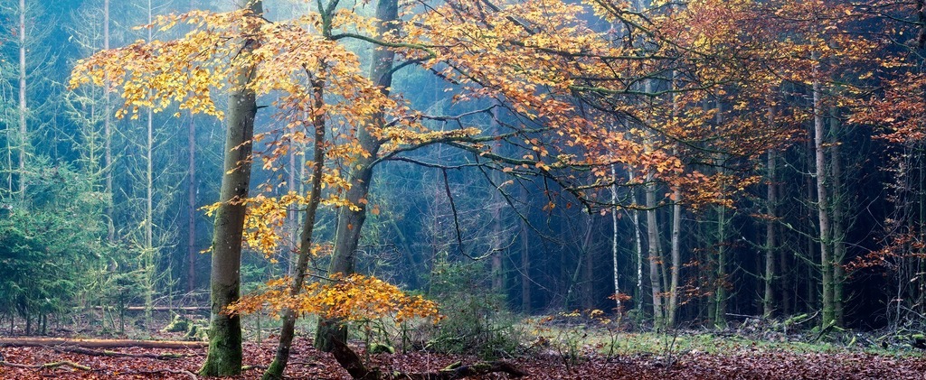 MBMarkiewicz's tweet image. ift.tt/9sztcKy