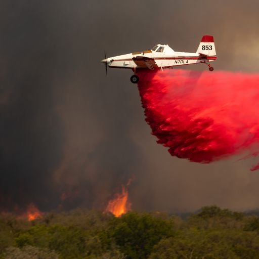 Since Friday, Texas A&M Forest Service fire resources have responded to 43 wildfires for almost 7,014 acres burned. 

Stay wildfire aware!

📷 SEAT drops retardant on the #HardCastleFire in Bosque Co. on July 9, 2022. Credit: David Carter.