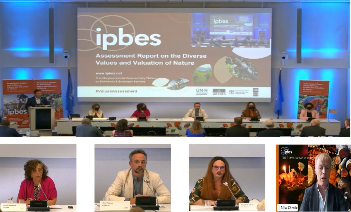 'Who gets the burdens of choosing certain values over others?' Great launch of the #ValuesAssessment report of #IPBES9. So proud of @BalvaneraPatty and all the cochairs stressing the importance of moving beyond economic values & fostering coalitions with other knowledge systems
