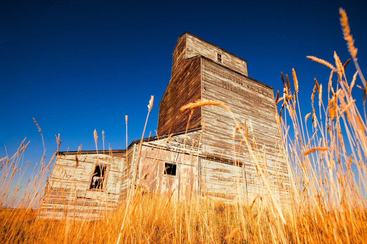 Old, abandoned grain elevators, "the sentinels of the plains," are slowly vanishing from the landscape of middle America. Here are some photos of them from my collection.

#photography #grainelevators #rural #rurallife #abandonedplaces #montana #country #stockphotos