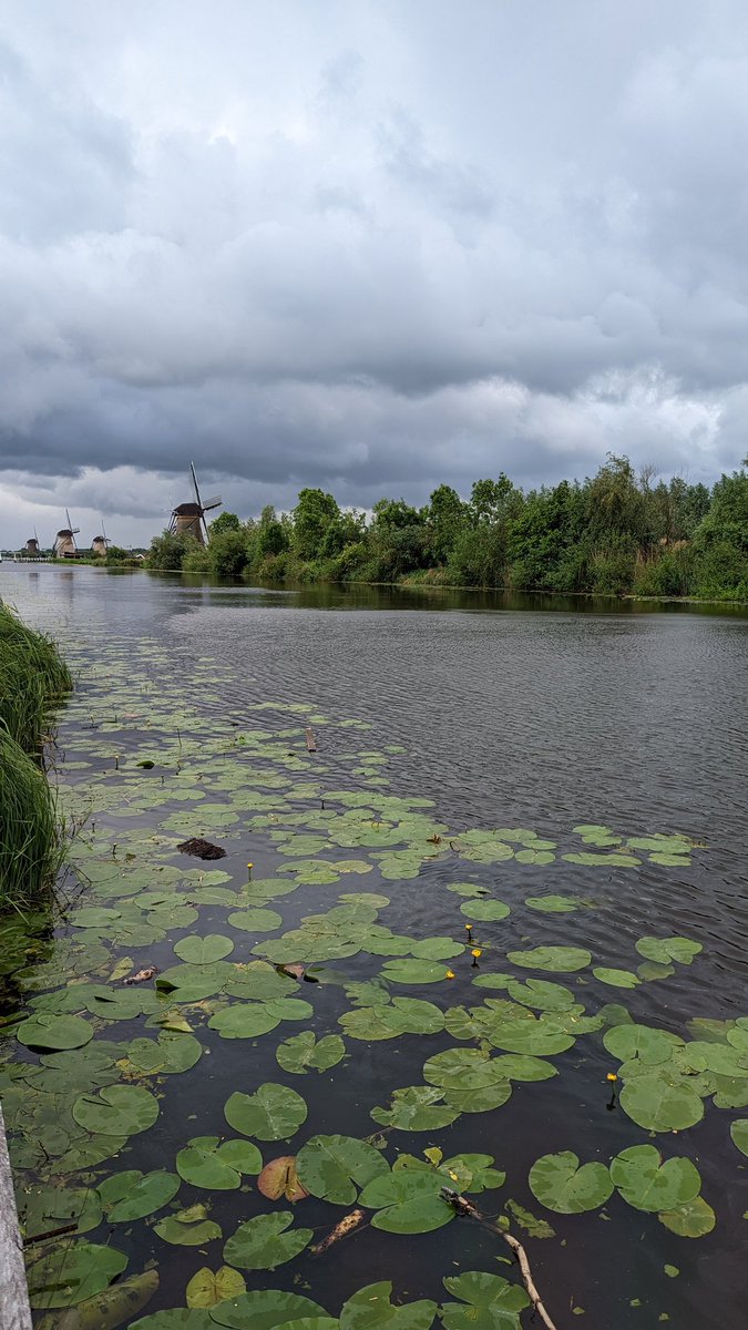 SarahSTEMed's tweet photo. Life in Kinderdijk, Netherlands https://t.co/U1yUF3qLME