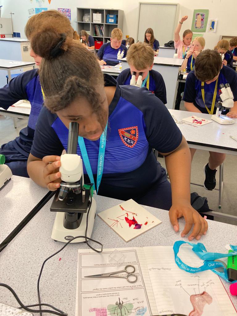 DeaneryScience's tweet image. Year 7 are dissecting fuschia flowers today to identify the male and female parts. @deaneryhigh
