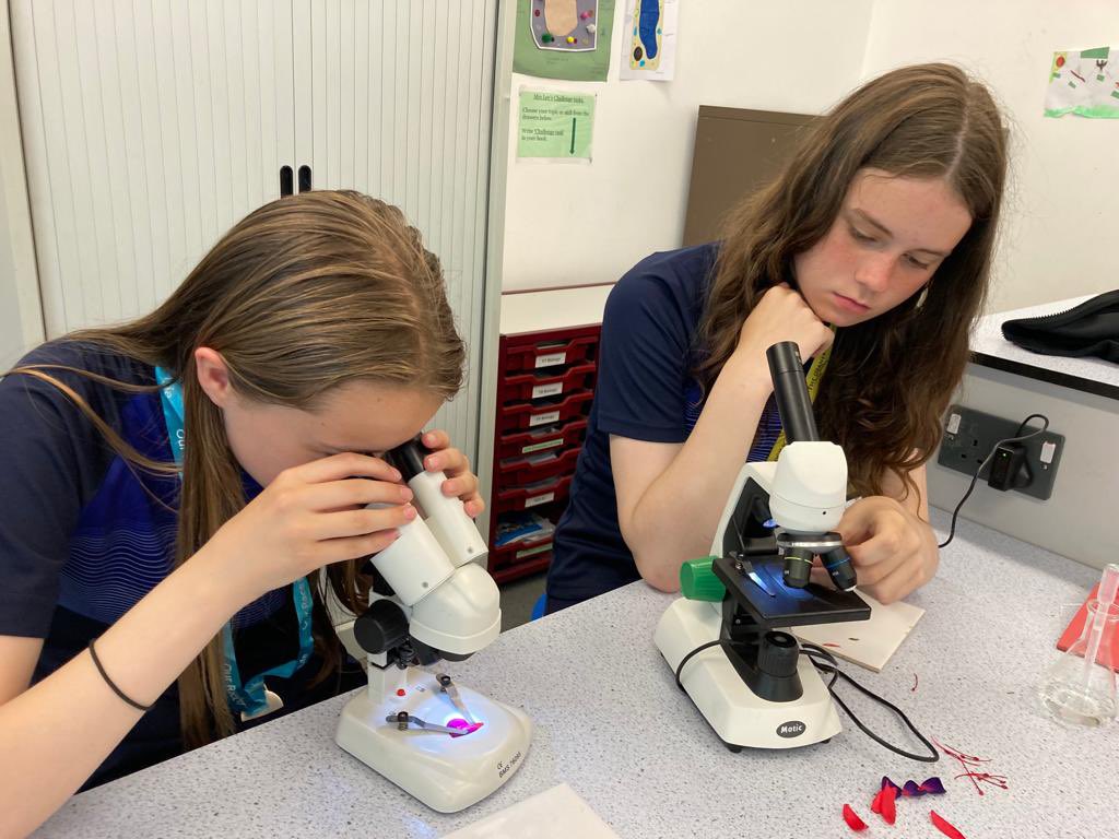 DeaneryScience's tweet image. Year 7 are dissecting fuschia flowers today to identify the male and female parts. @deaneryhigh