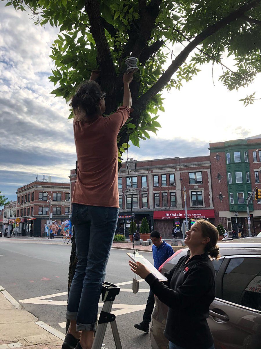 BU Experts (@buexperts) on Twitter photo #DYK: Almost all of Chelsea, MA is a #heatisland? In collaboration with <a href="/busphEH/">BUSPH Environmental Health</a>'s <a href="/MlsScammell/">Madeleine Scammell</a>, <a href="/PatriciaFabianS/">M. Patricia Fabian</a> and <a href="/GreenRootsEJ/">GreenRoots</a>, the <a href="/c_heatproject/">C-HEAT Study</a> collects data on air and ground temperatures & offers research-backed solutions for beating the heat. ➡️ spr.ly/6005zqt4V #DYK: Almost all of Chelsea, MA is a #heatisland? In collaboration with <a href="/busphEH/">BUSPH Environmental Health</a>'s <a href="/MlsScammell/">Madeleine Scammell</a>, <a href="/PatriciaFabianS/">M. Patricia Fabian</a> and <a href="/GreenRootsEJ/">GreenRoots</a>, the <a href="/c_heatproject/">C-HEAT Study</a> collects data on air and ground temperatures & offers research-backed solutions for beating the heat. ➡️ spr.ly/6005zqt4V