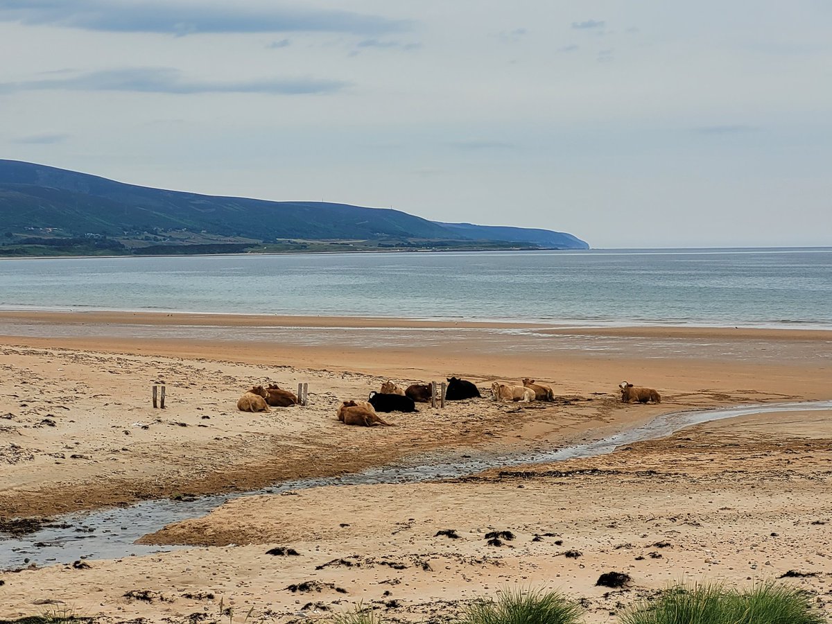 Jamie_LEJOG's tweet image. Day 91: Golspie to Brora, 8 miles. A nice short day to start the last week, including seeing the impressive Dunrobin Castle.