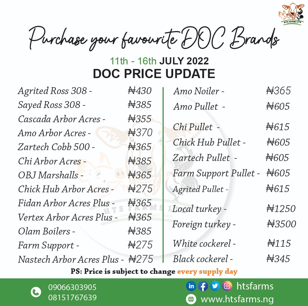 htsfarms's tweet photo. PRICE UPDATE‼️
Send in your orders for the week and get healthy Day Old birds delivered to you anywhere in Nigeria...
htsfarms #dayoldchicks #docbroilers #pullets #noilers #turkeys #poultry #AbujaTwitterCommunity #farmingandagriculture https://t.co/3UWpS38C1T