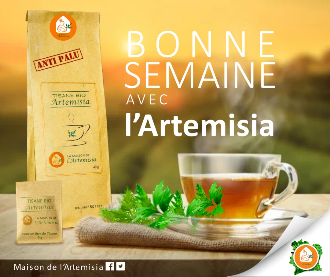 ArtemisiaMaison's tweet photo. https://t.co/ofVUuwJE9l